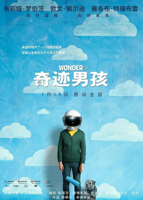 教育部学历证书电子注册备案表哪里下载